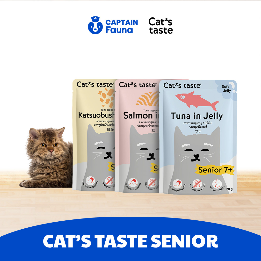 Senior 7+ Soft Jelly Wet Food 70g